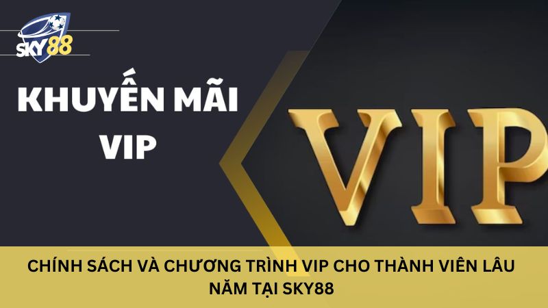 Chính Sách Quyền Lợi Thành Viên Tham Gia Nhà Cái Sky88 3 Chính sách và chương trình VIP cho thành viên lâu năm tại sky88